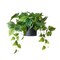 Faux Plants in Black Ceramic Pot, Artificial Plants for Home Decor Indoor, Ivy Small Fake Plants - Fake Plants Decor, Green Plants Artificial Décor, Artificial Plant for Indoor and Outdoor